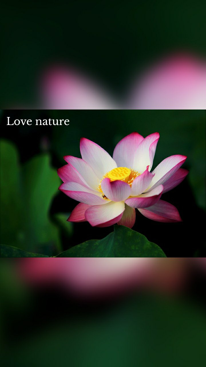 Love nature